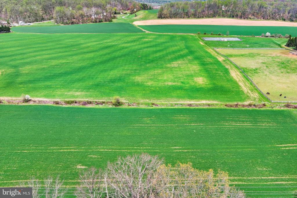 5451 GLEN ARM ROAD
