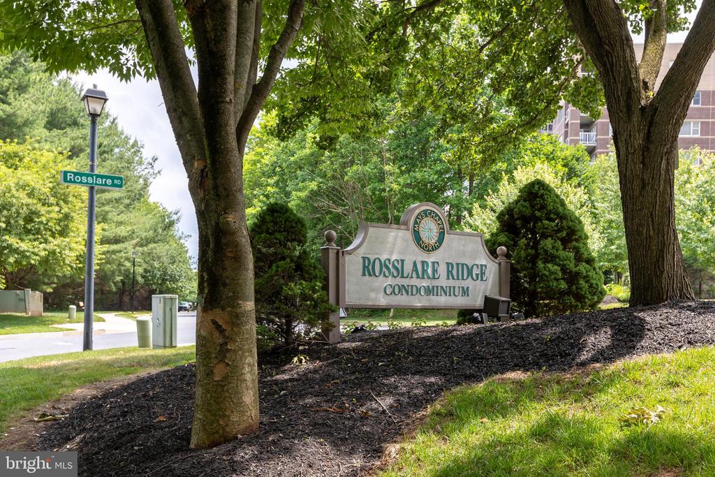 12300 ROSSLARE RIDGE ROAD 501