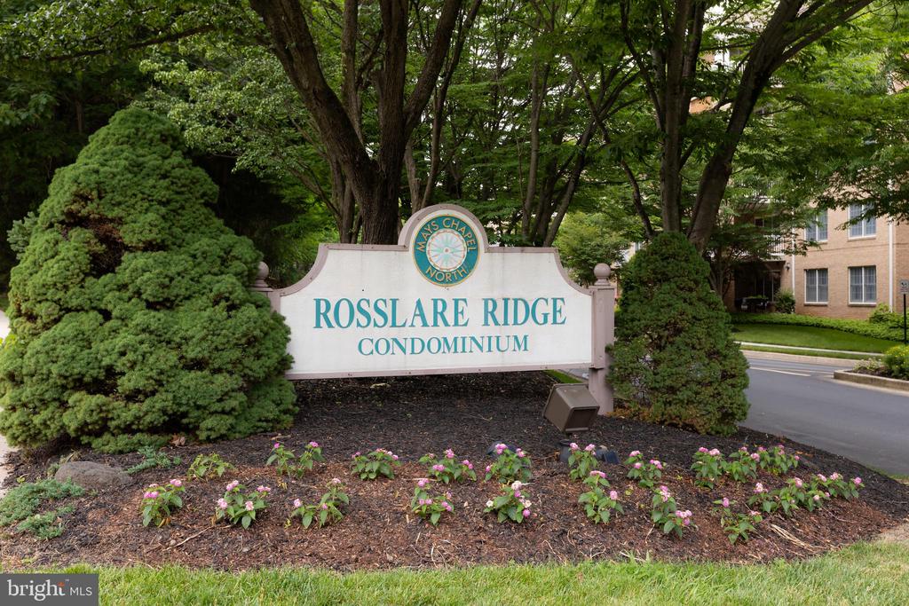 12300 ROSSLARE RIDGE ROAD 501