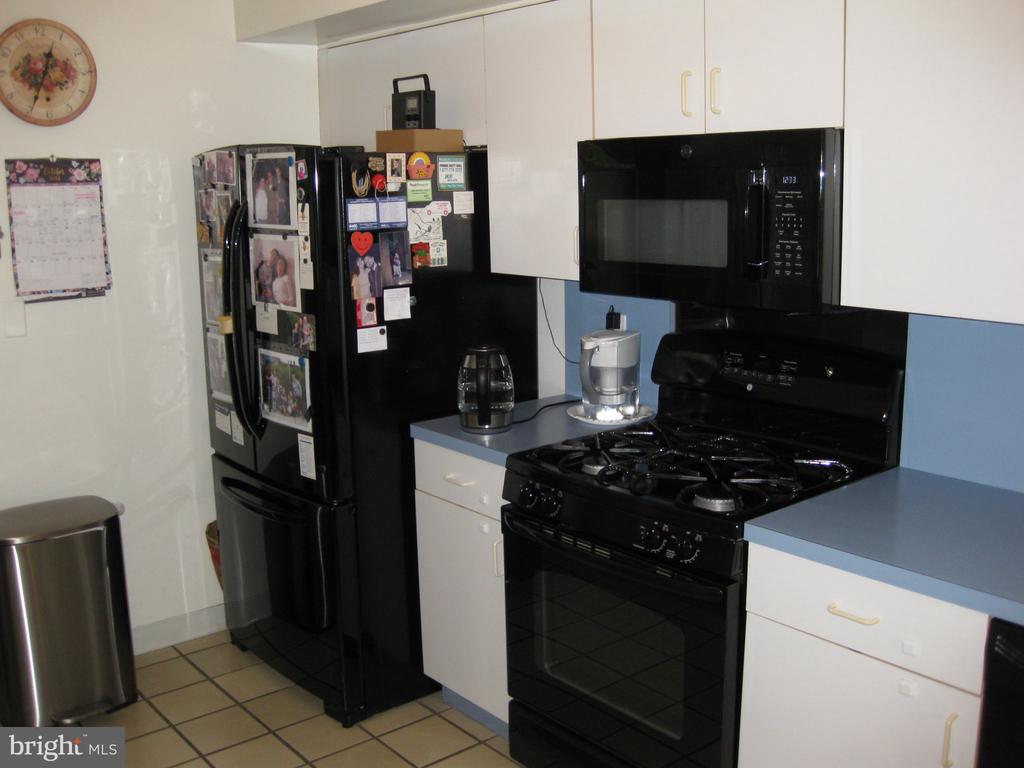 2900 OAKTON COURT