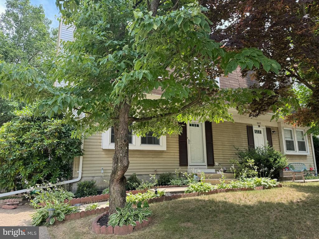 309 Burnside Ct