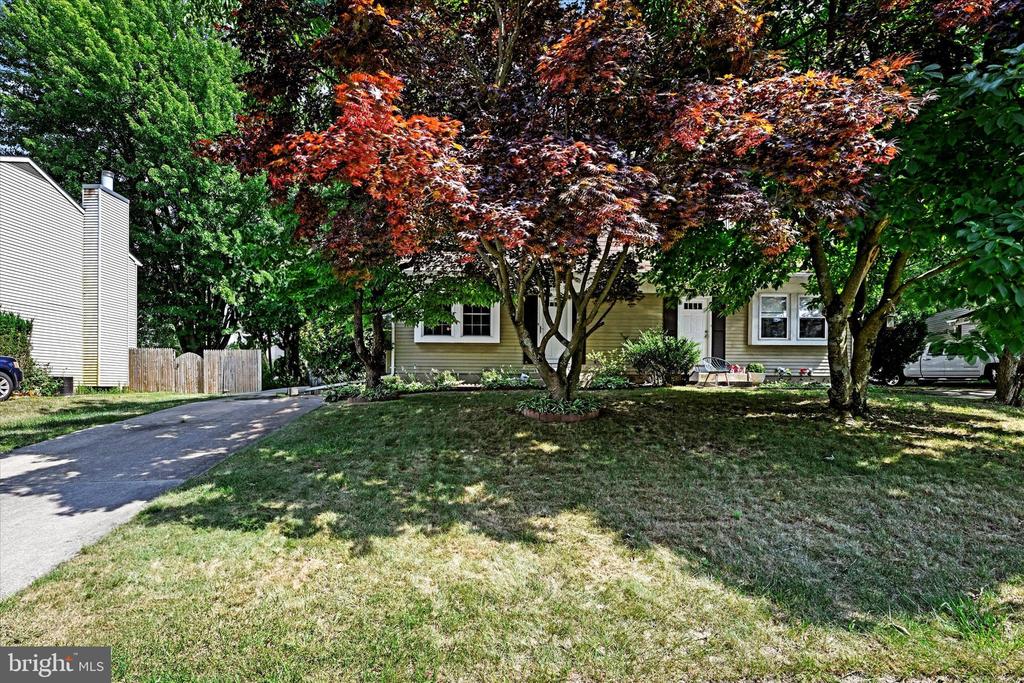 309 Burnside Ct