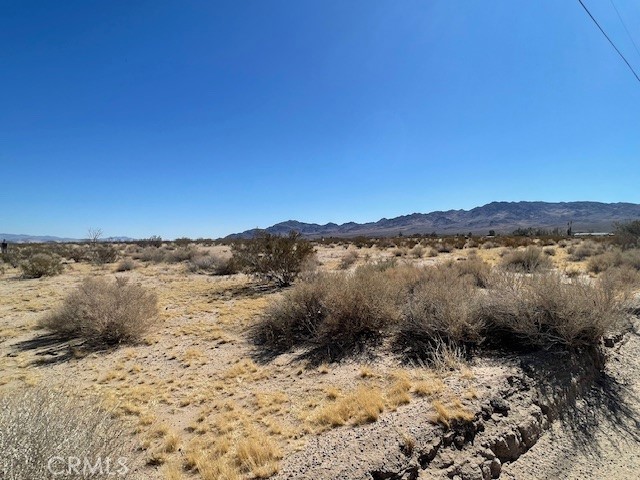 33255 Minneola Rd