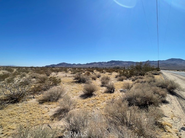 33255 Minneola Rd