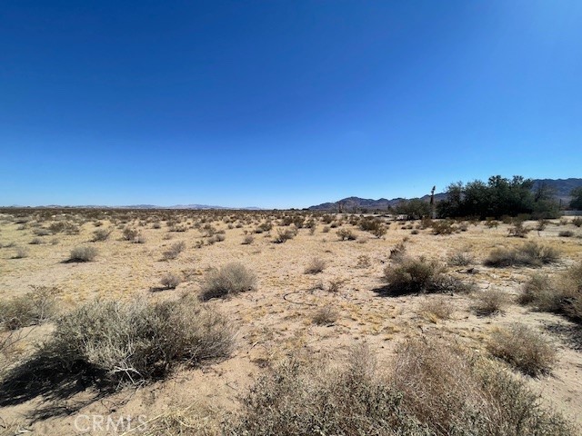 33255 Minneola Rd