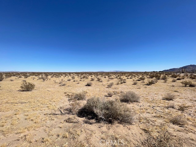 33255 Minneola Rd