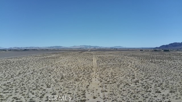 33255 Minneola Rd