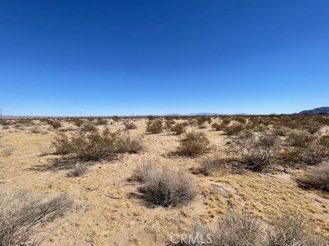 33255 Minneola Rd