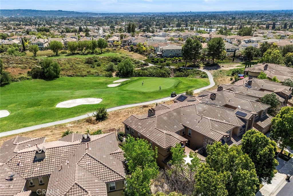 17206 Coriander Court