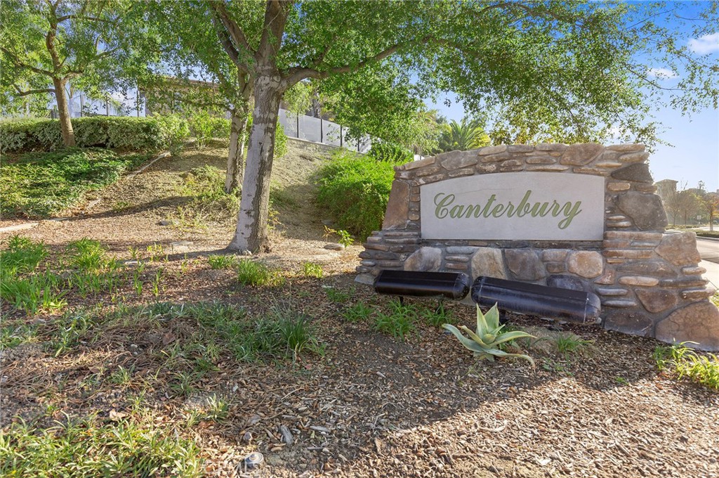 17206 Coriander Court