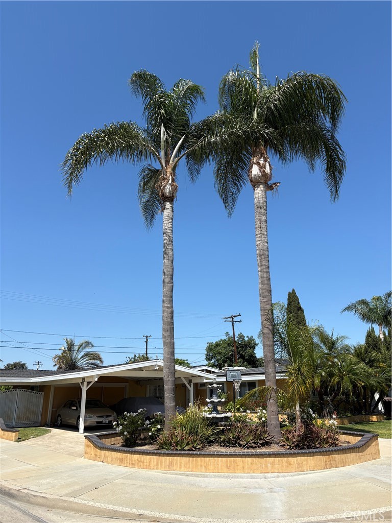 2113 W Niobe