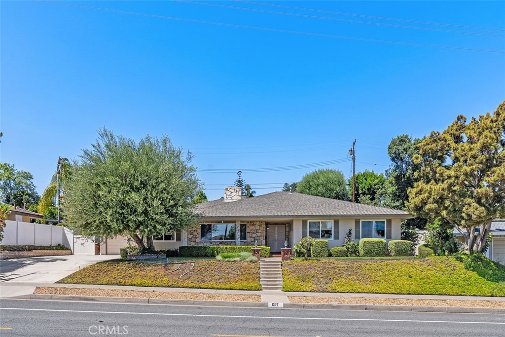 807 Dorothy Lane