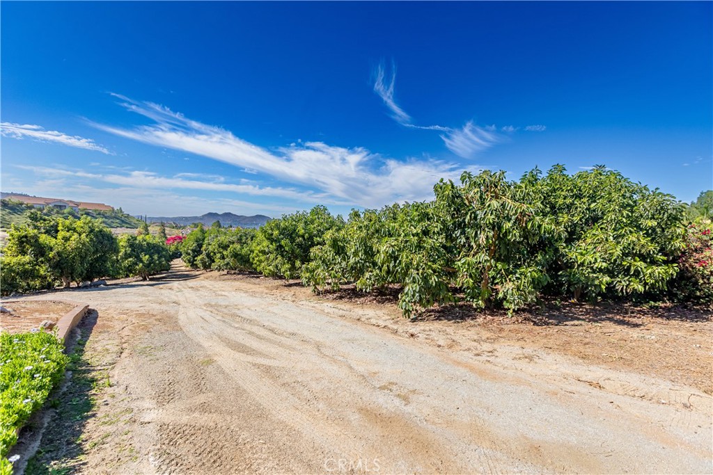 10851 Orchard View Lane
