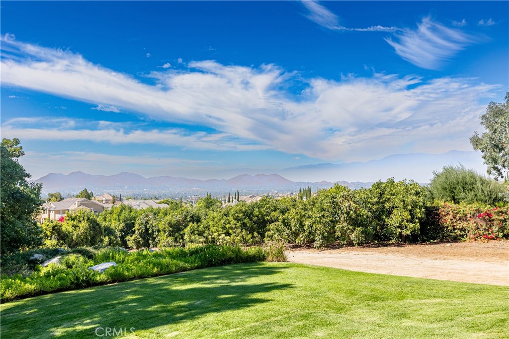 10851 Orchard View Lane