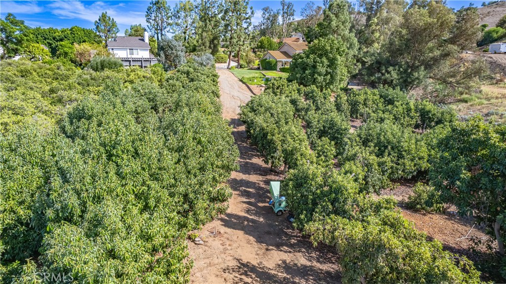 10851 Orchard View Lane