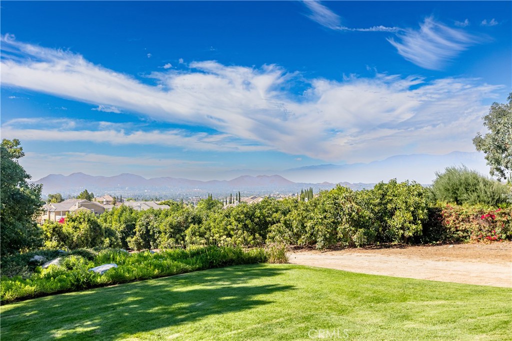 10851 Orchard View Lane