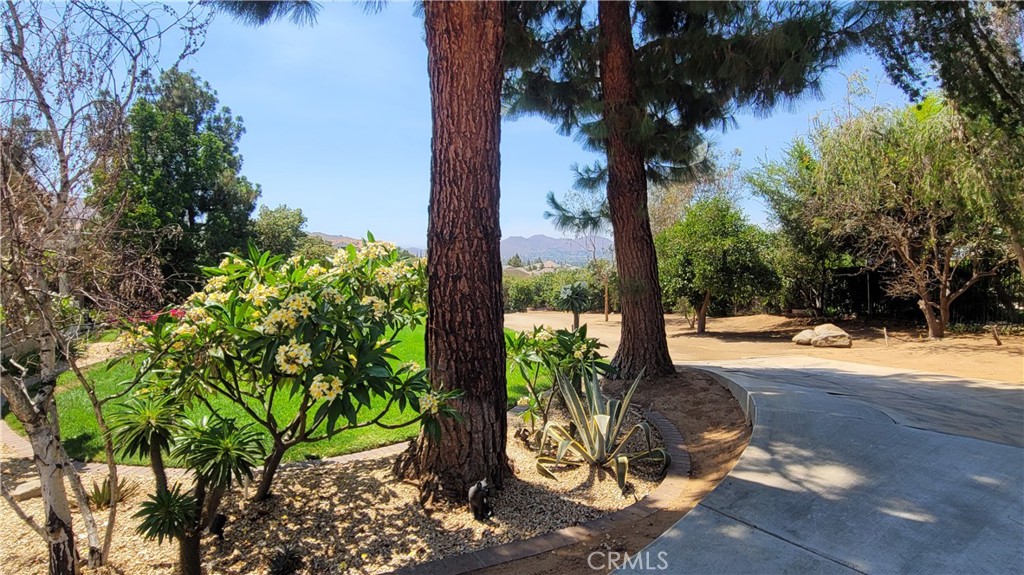 10851 Orchard View Lane