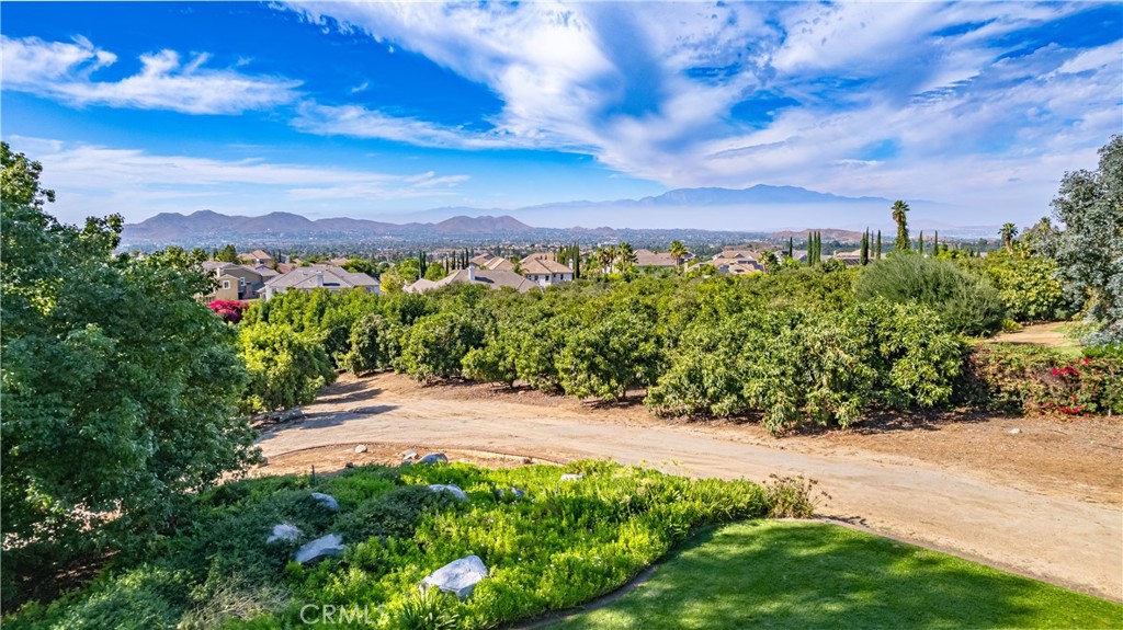 10851 Orchard View Lane