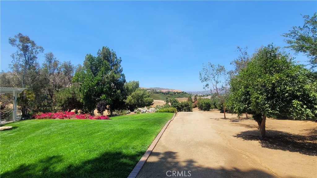 10851 Orchard View Lane