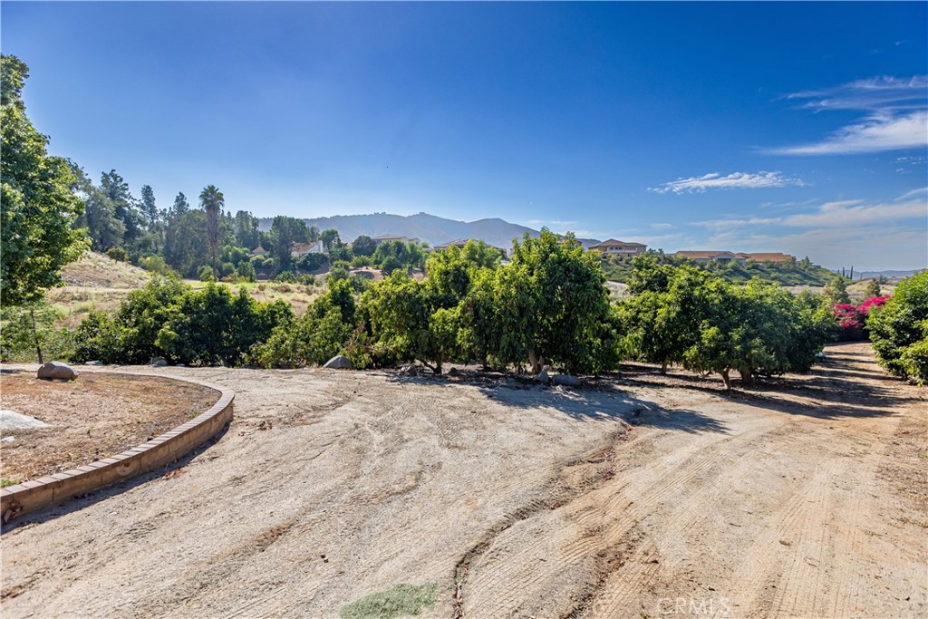 10851 Orchard View Lane