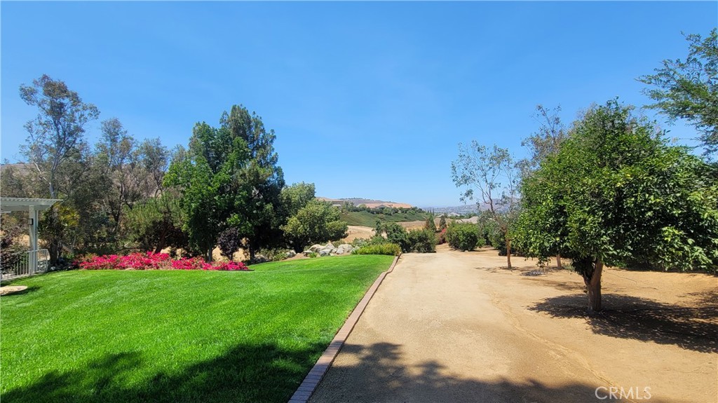 10851 Orchard View Lane