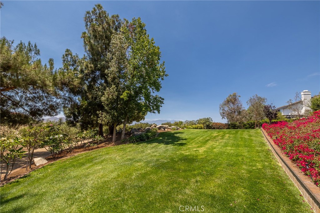 10851 Orchard View Lane