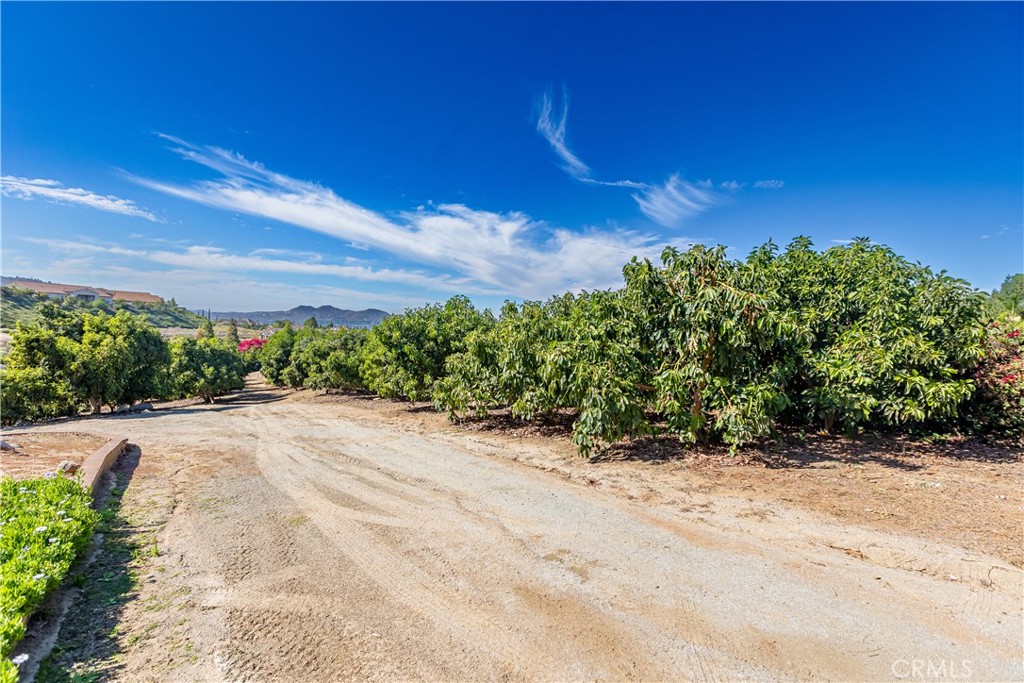 10851 Orchard View Lane