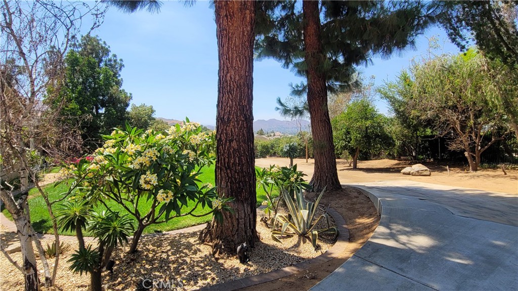 10851 Orchard View Lane