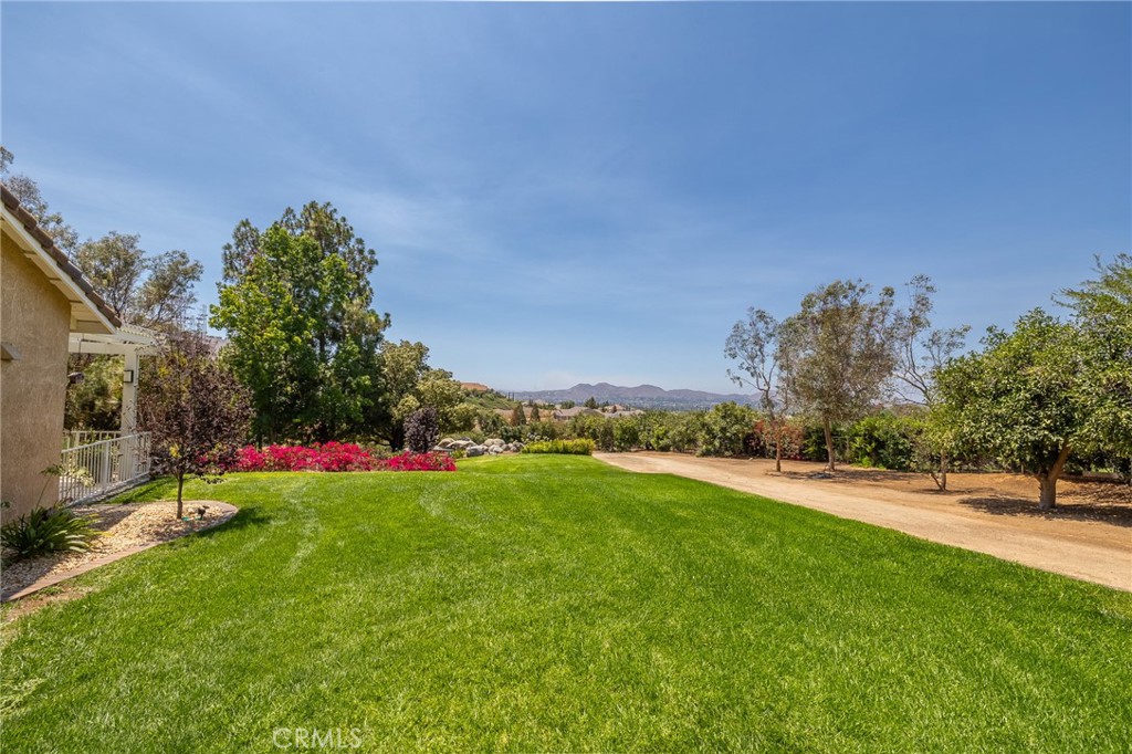 10851 Orchard View Lane