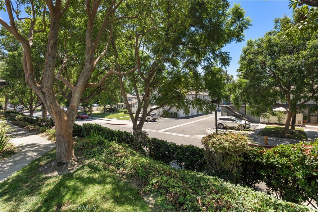 20014 Waverly Glen 55
