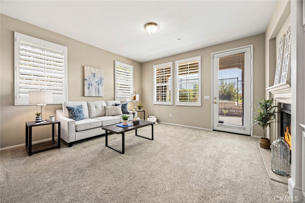 17206 Coriander Court