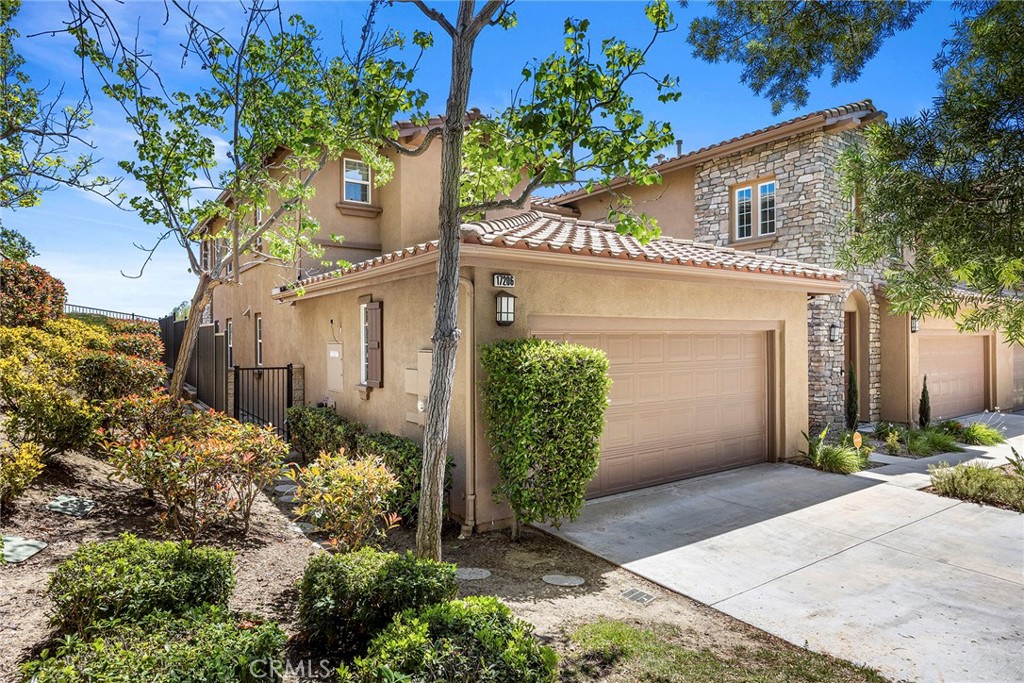 17206 Coriander Court
