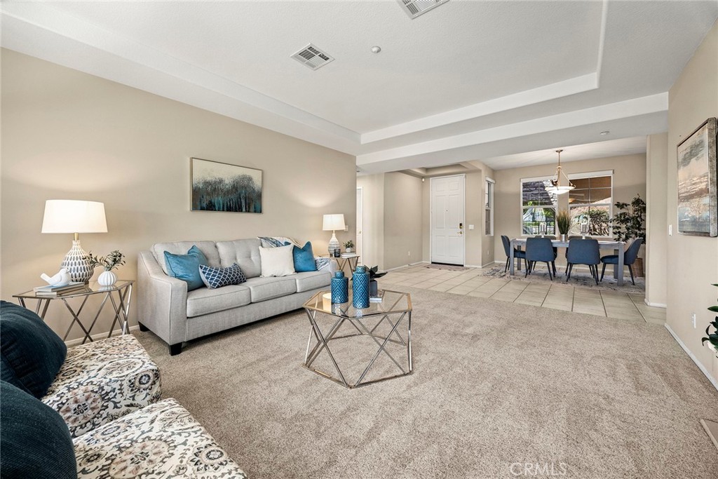 17206 Coriander Court