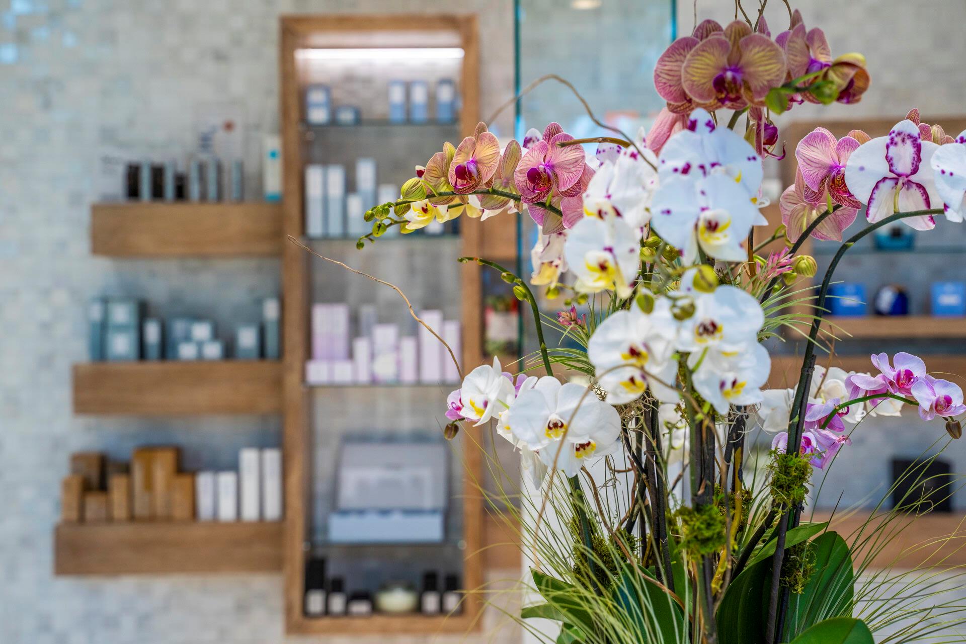 16191 Villa Vizcaya Place