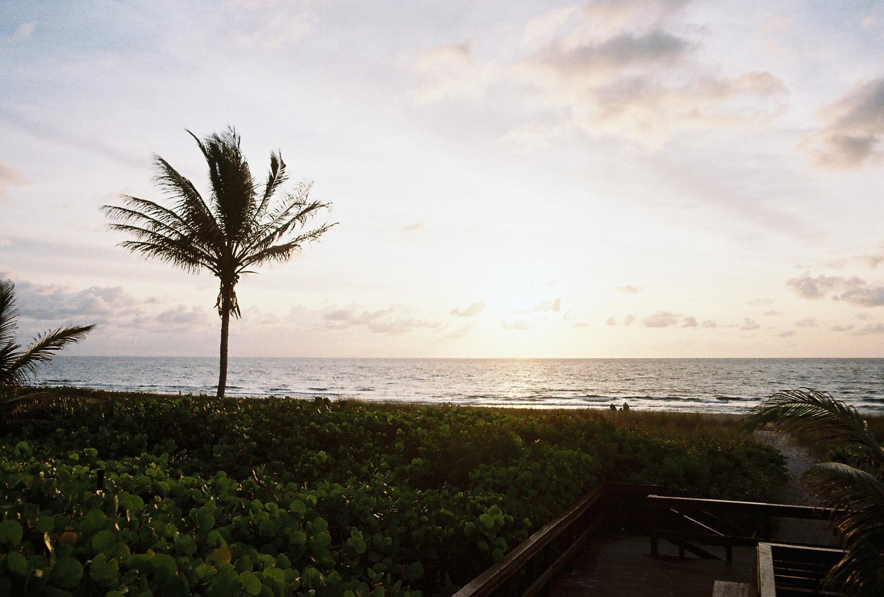 2871 N Ocean Boulevard M230