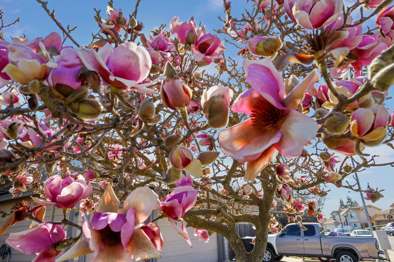 14310 Cedar Valley Drive