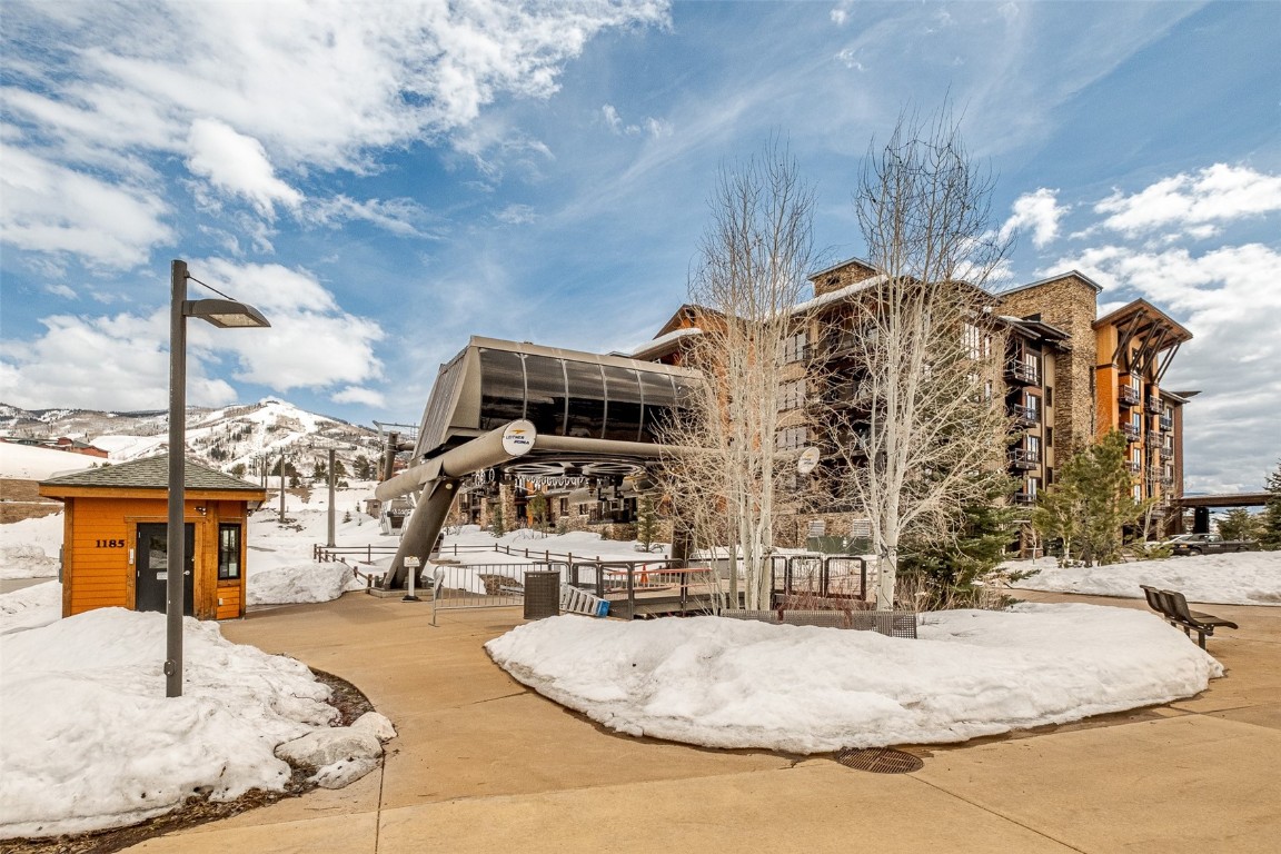 2525 Cattle Kate CIRCLE 4305