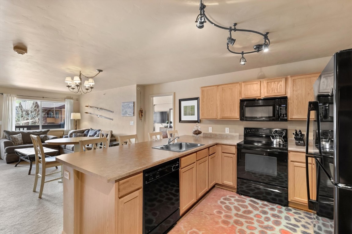 2525 Cattle Kate CIRCLE 4305