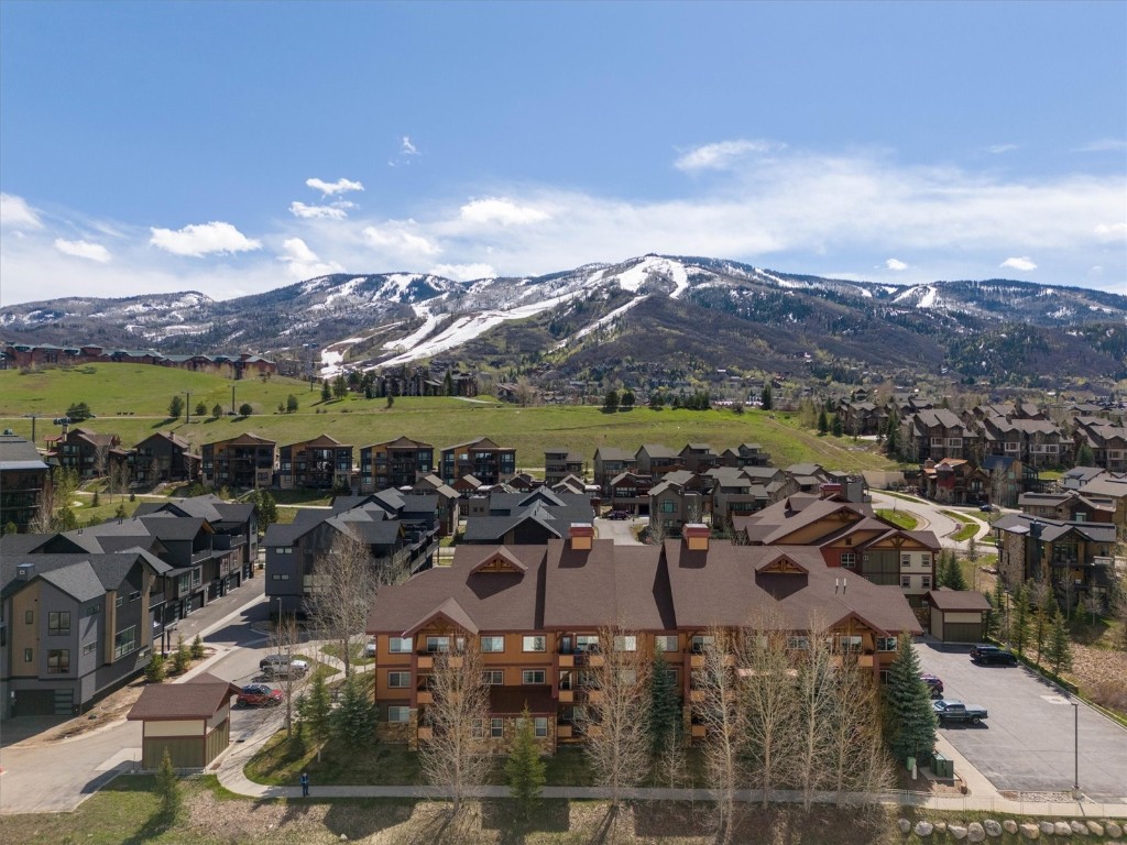 2525 Cattle Kate CIRCLE 4305