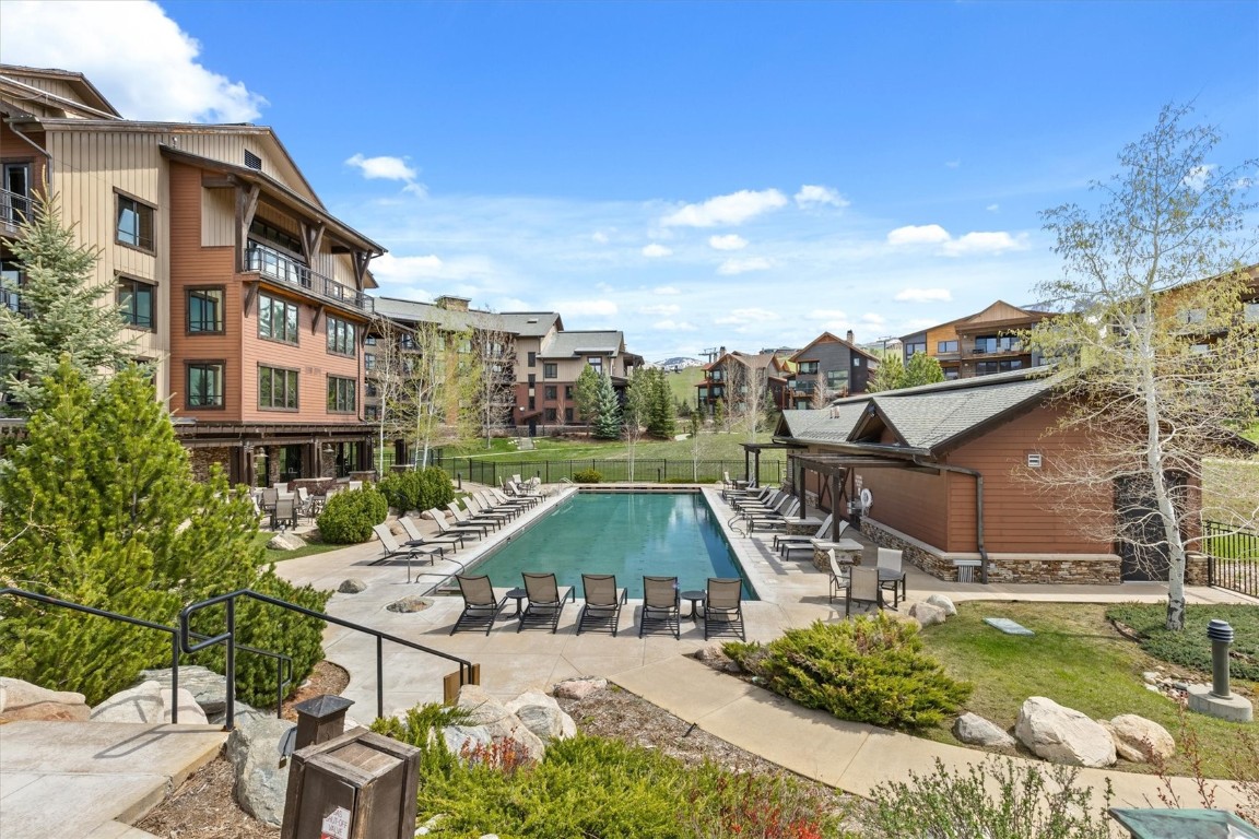 2525 Cattle Kate CIRCLE 4305