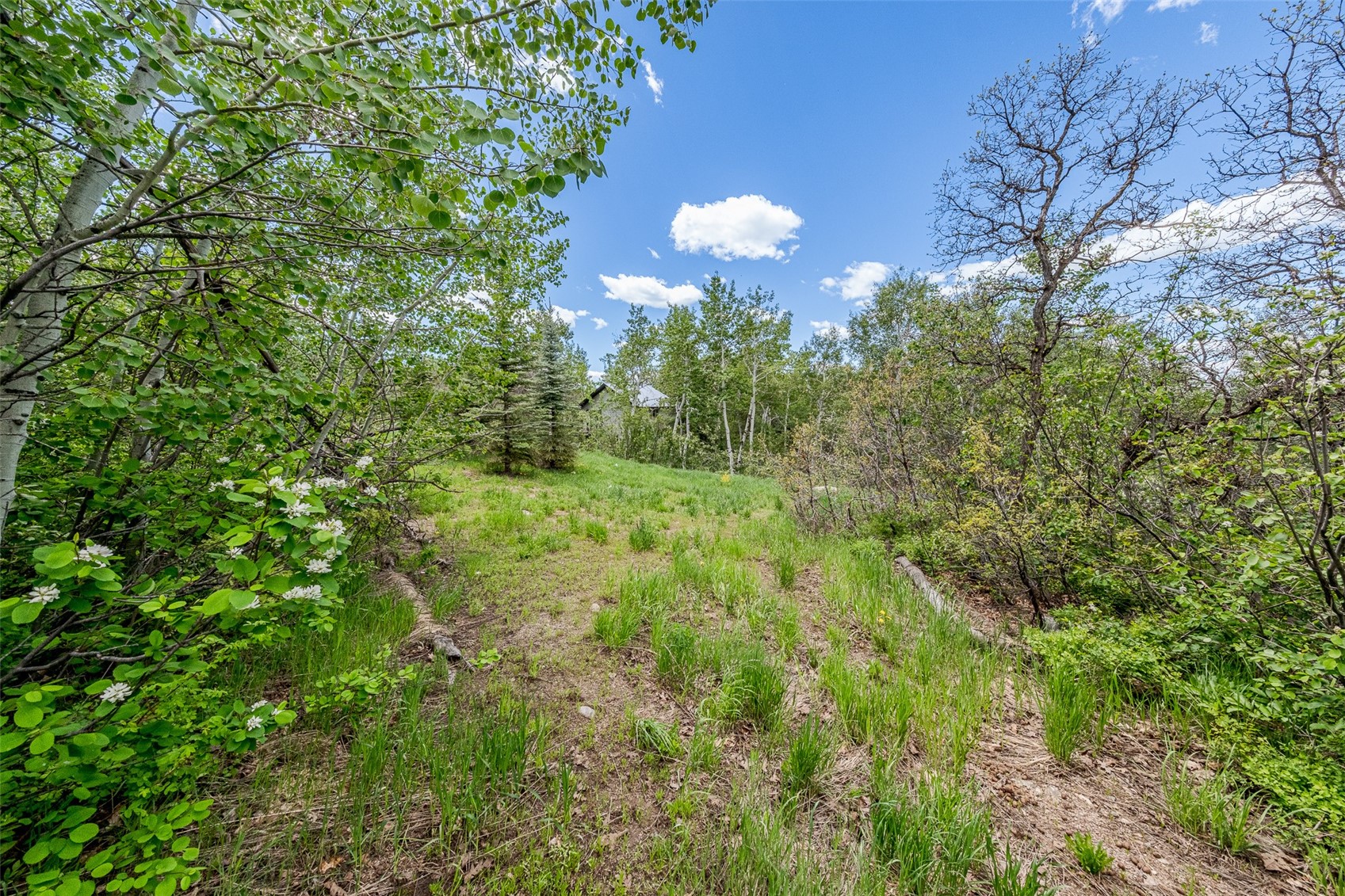 225 Boulder Ridge ROAD