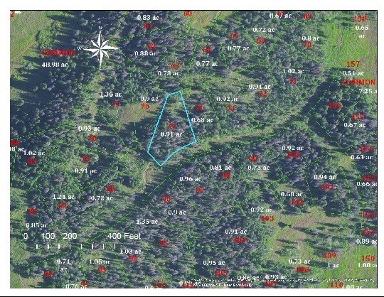 TBD Halter Trail