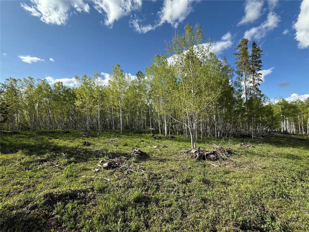 TBD Halter Trail