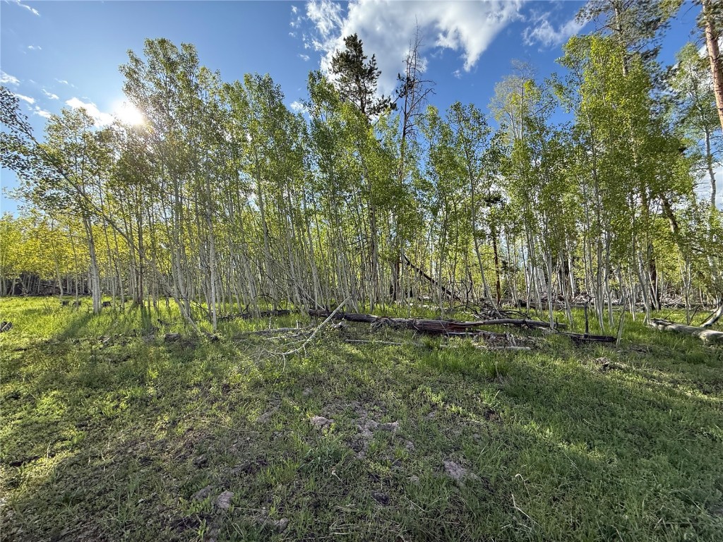 TBD Halter Trail
