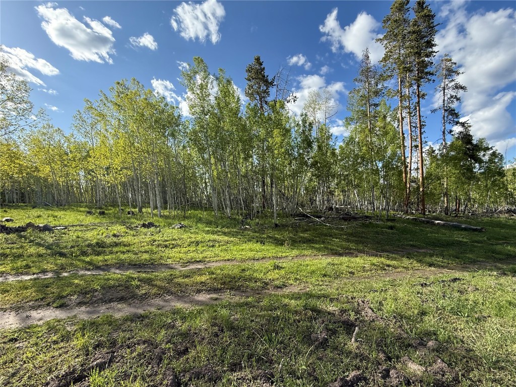 TBD Halter Trail