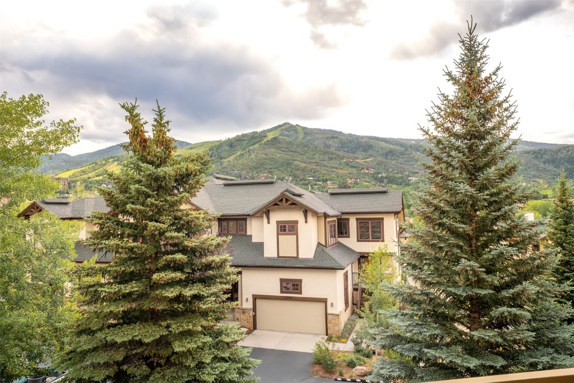 1463 Flattop CIRCLE 302