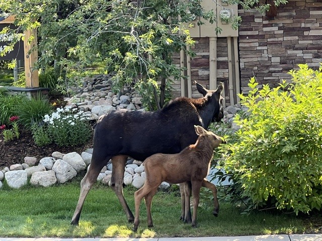 1505 Cascades DRIVE 4