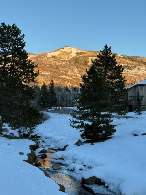 1505 Cascades DRIVE 4