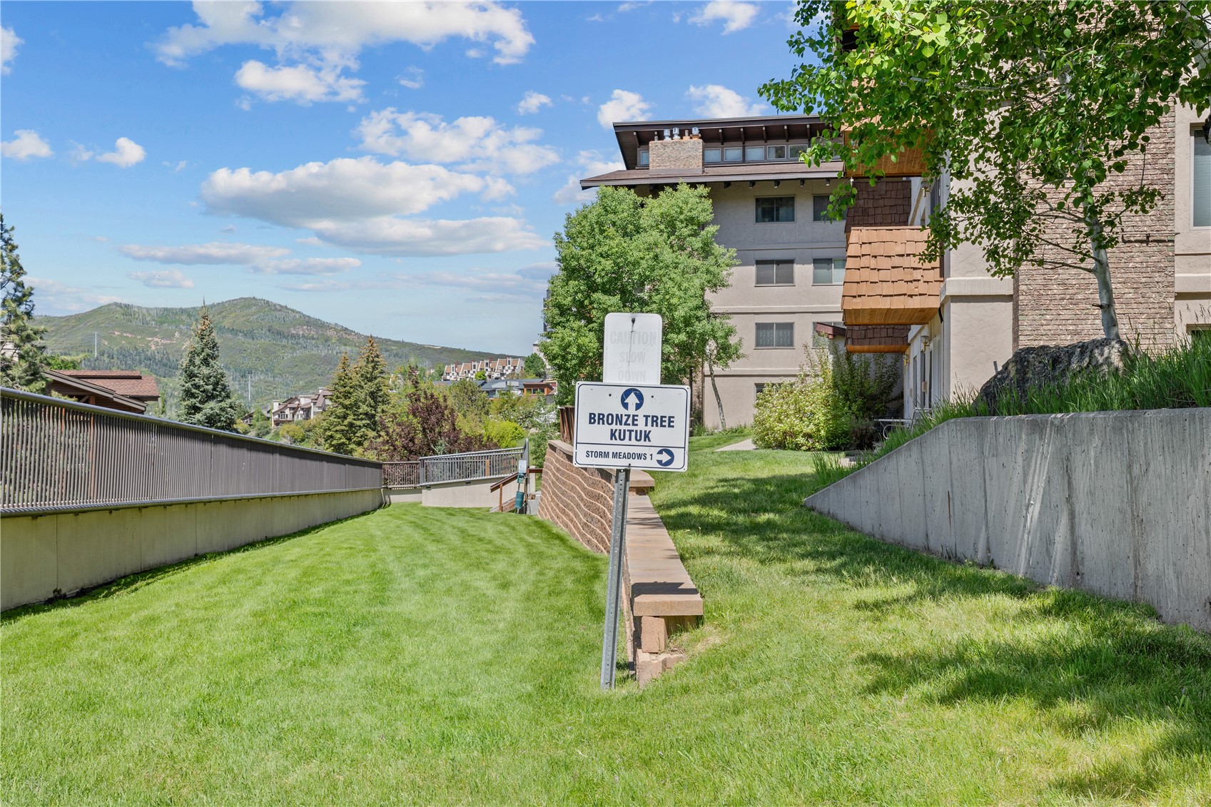 2215 Storm Meadows DRIVE 550