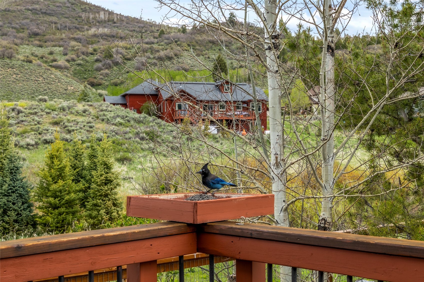 22576 Cheyenne TRAIL